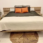 Appartement Type Industriel Centre Ville
